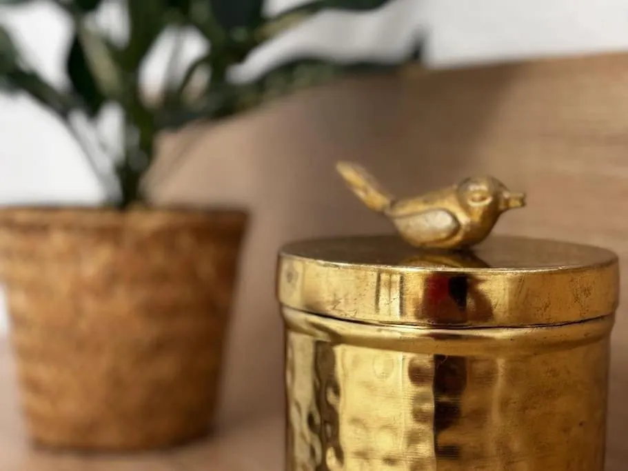Apartment Sant Antoni Stay: Experience Barcelona